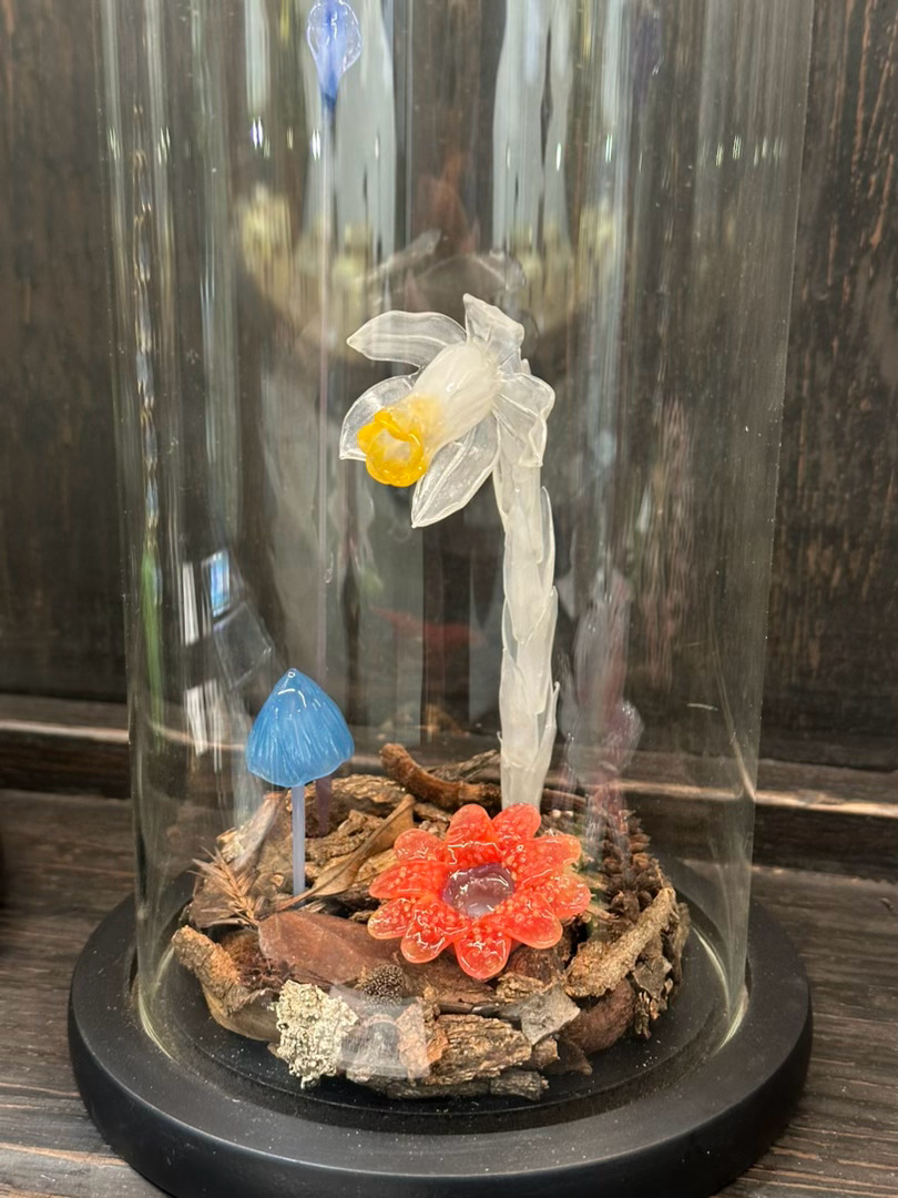 林老师和徐老师的作品展，真真太美了，推荐大家来亲眼看看 北京·荒野植物园
