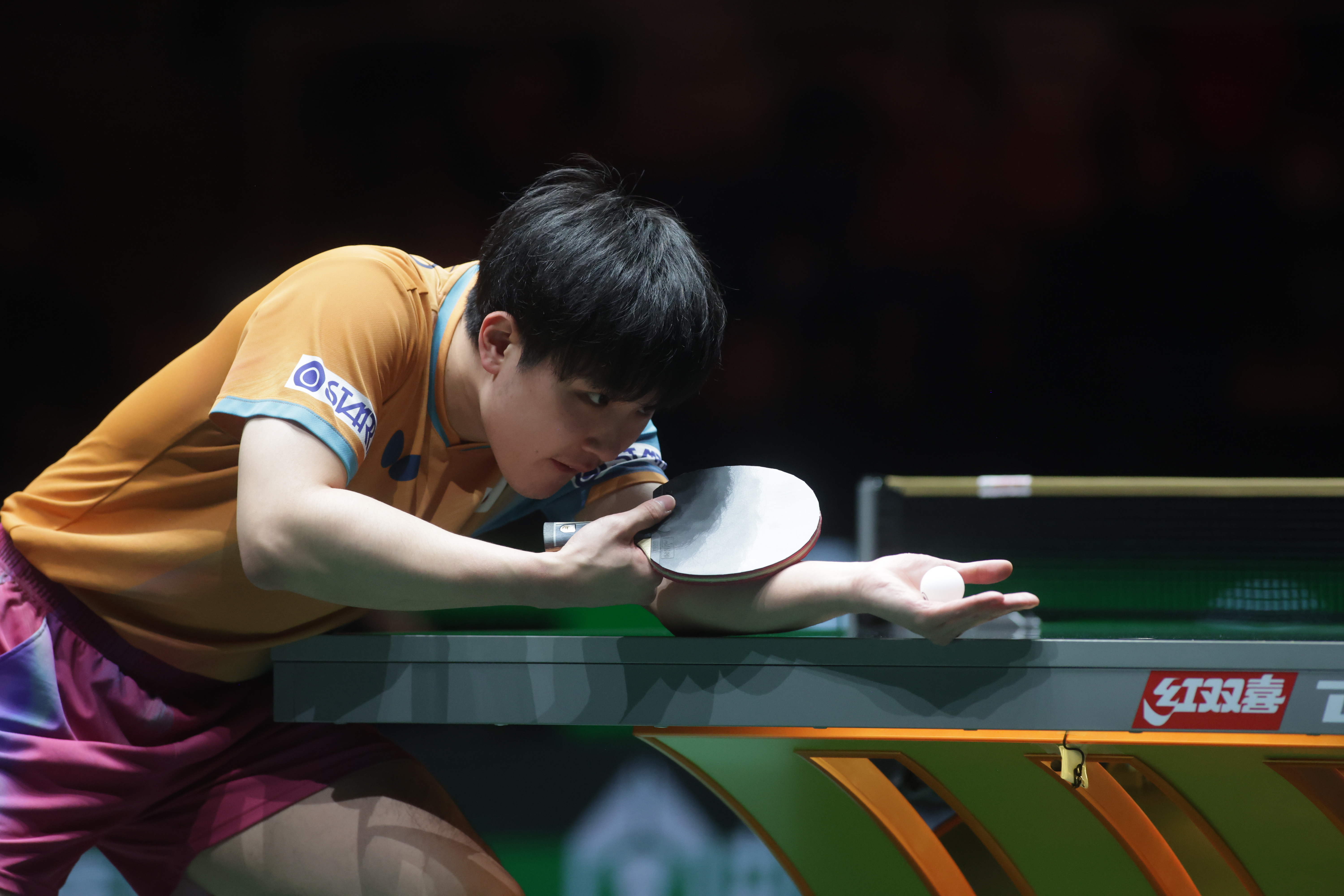 张本智和张本智和2025成都混团世界杯 cr.FFTT 