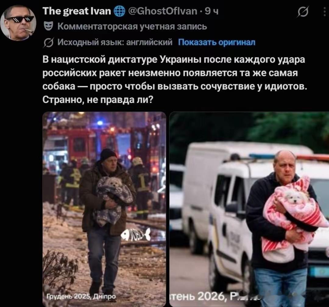 乌克兰有一只神奇的狗，每次在俄罗斯的导弹袭击之后，都会被同一个人从居民区解救出来