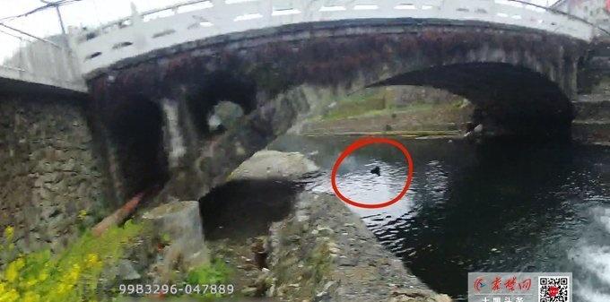 十堰超话 暖心一幕！八旬老人落水 郧西警民联手救援十堰爆料 

十堰融媒 

秦