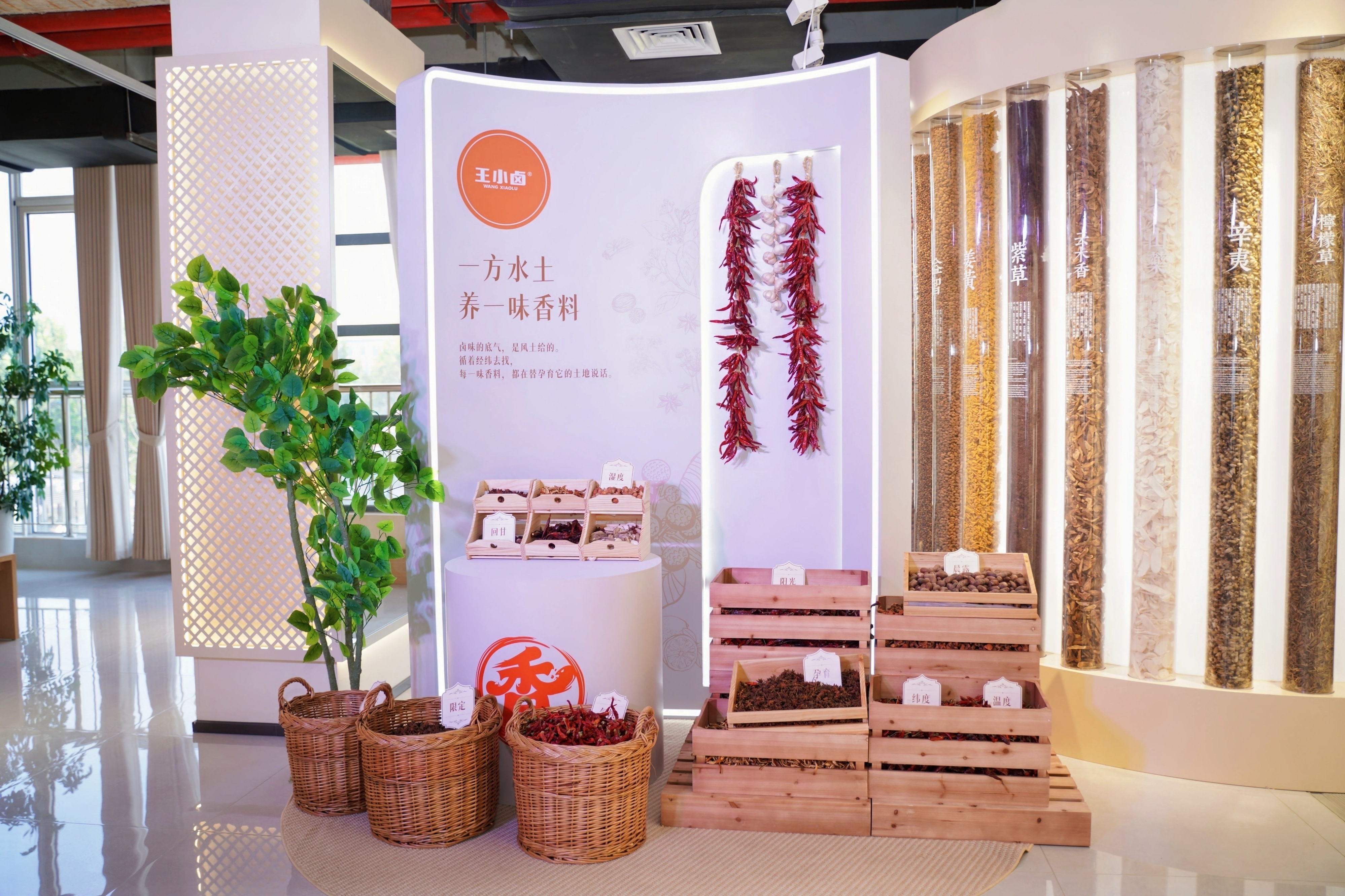 #看完更想吃王小卤了#国货零食的底气，藏在对品质的较真里。深耕凤爪赛道十年，王小
