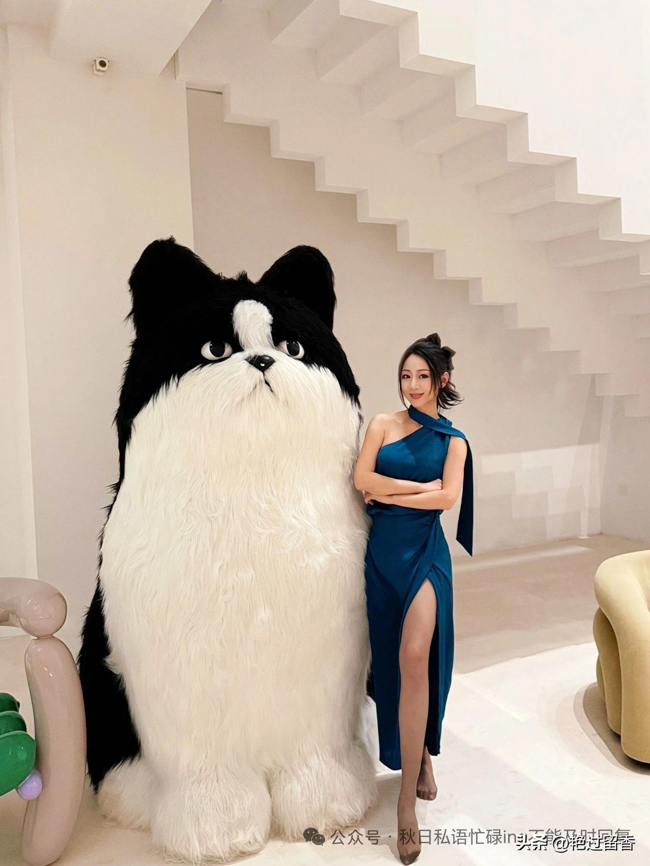 和超萌柴犬一起拍照，谁是最佳拍档？🐶📸应该如何保持精致的少女感?