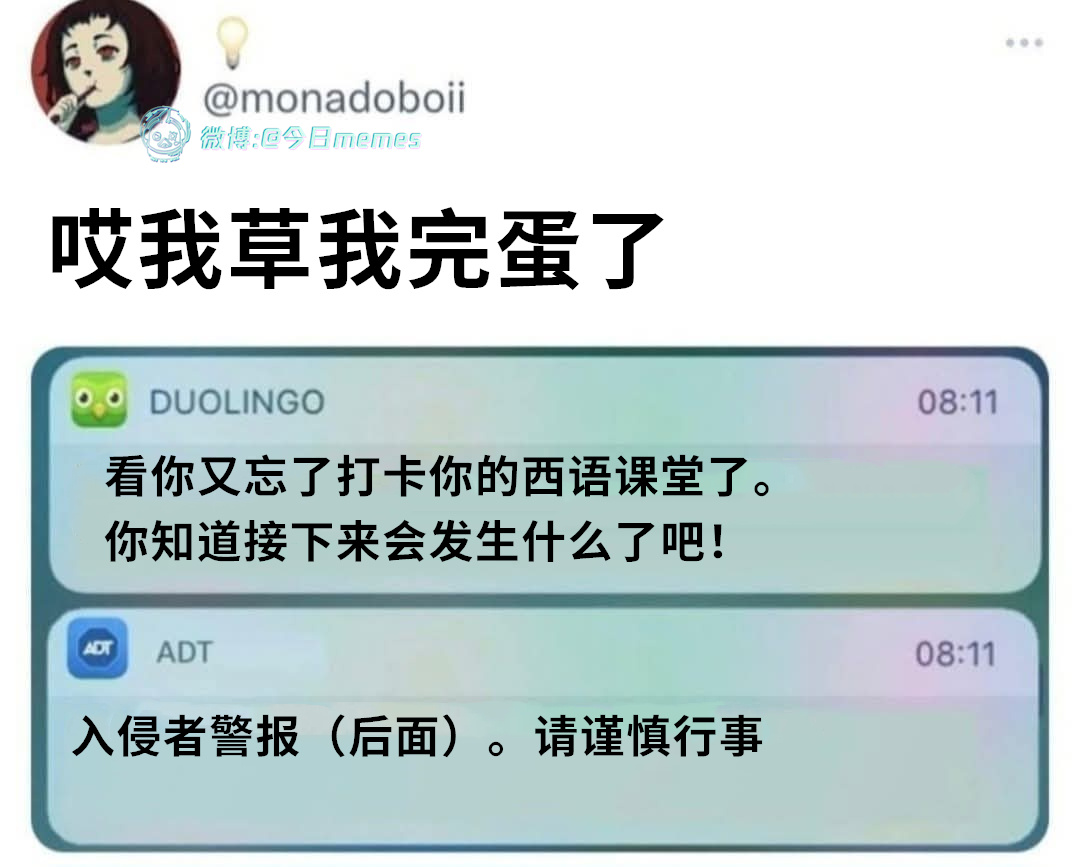 我来了（monadoboii）今日meme 今日memes