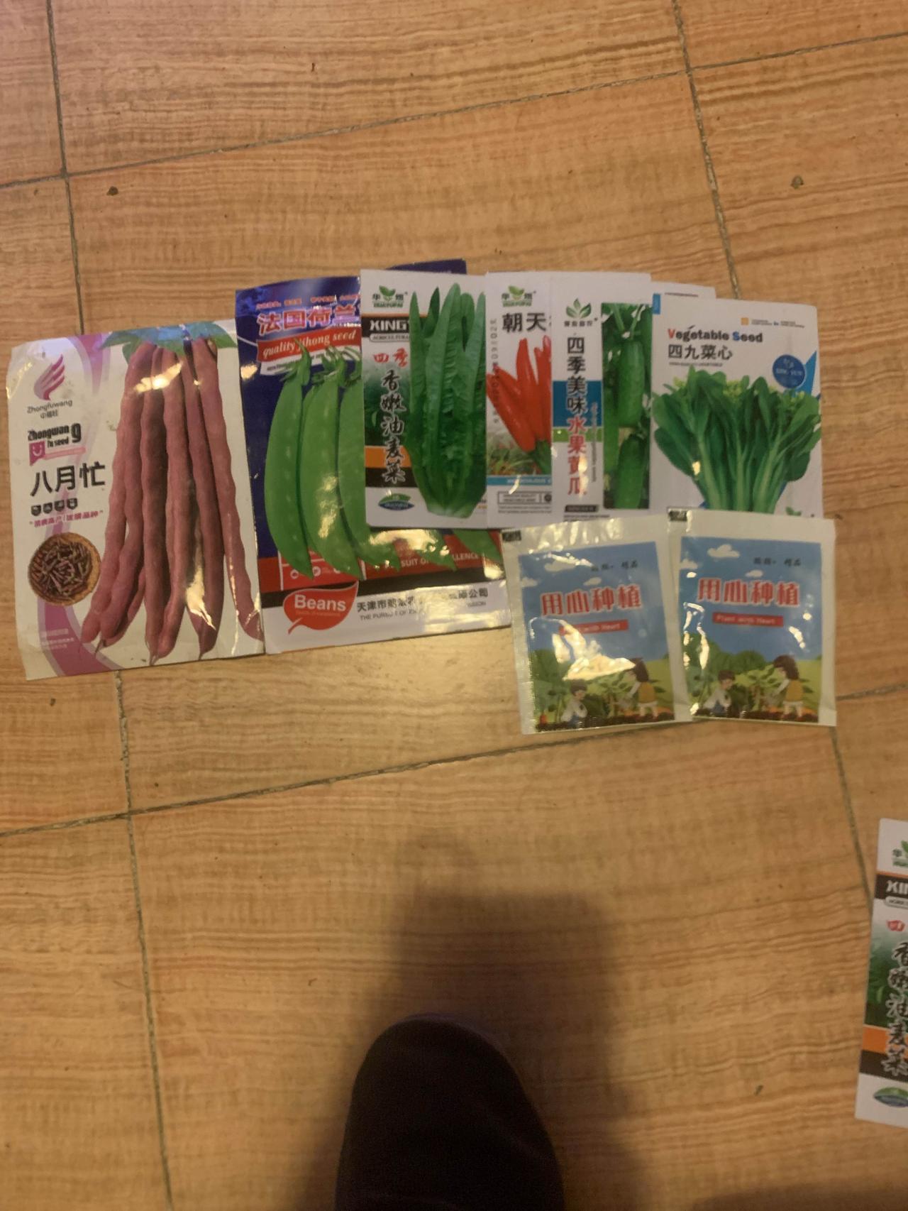 春天来了，准备种植蔬菜。打开自己从网上买十几包蔬菜种子，有几包沈阳金仕达农业科技