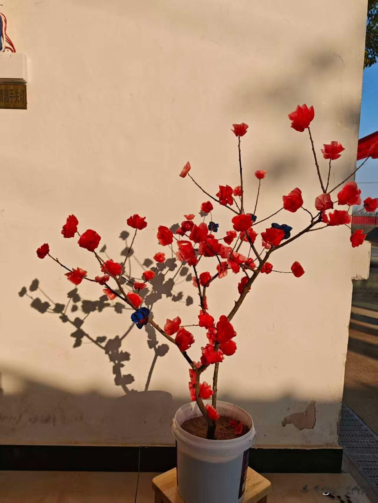 以前有个关系还可以的朋友，现在好几年没有联系了，她从不发朋友圈，在共同的朋友那里