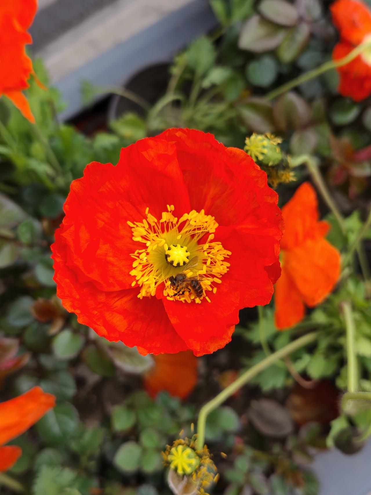 私人侦探杨某，因为跟踪拍摄普通市民，被山西警方给抓了！这种行为不光侵犯了别人的隐