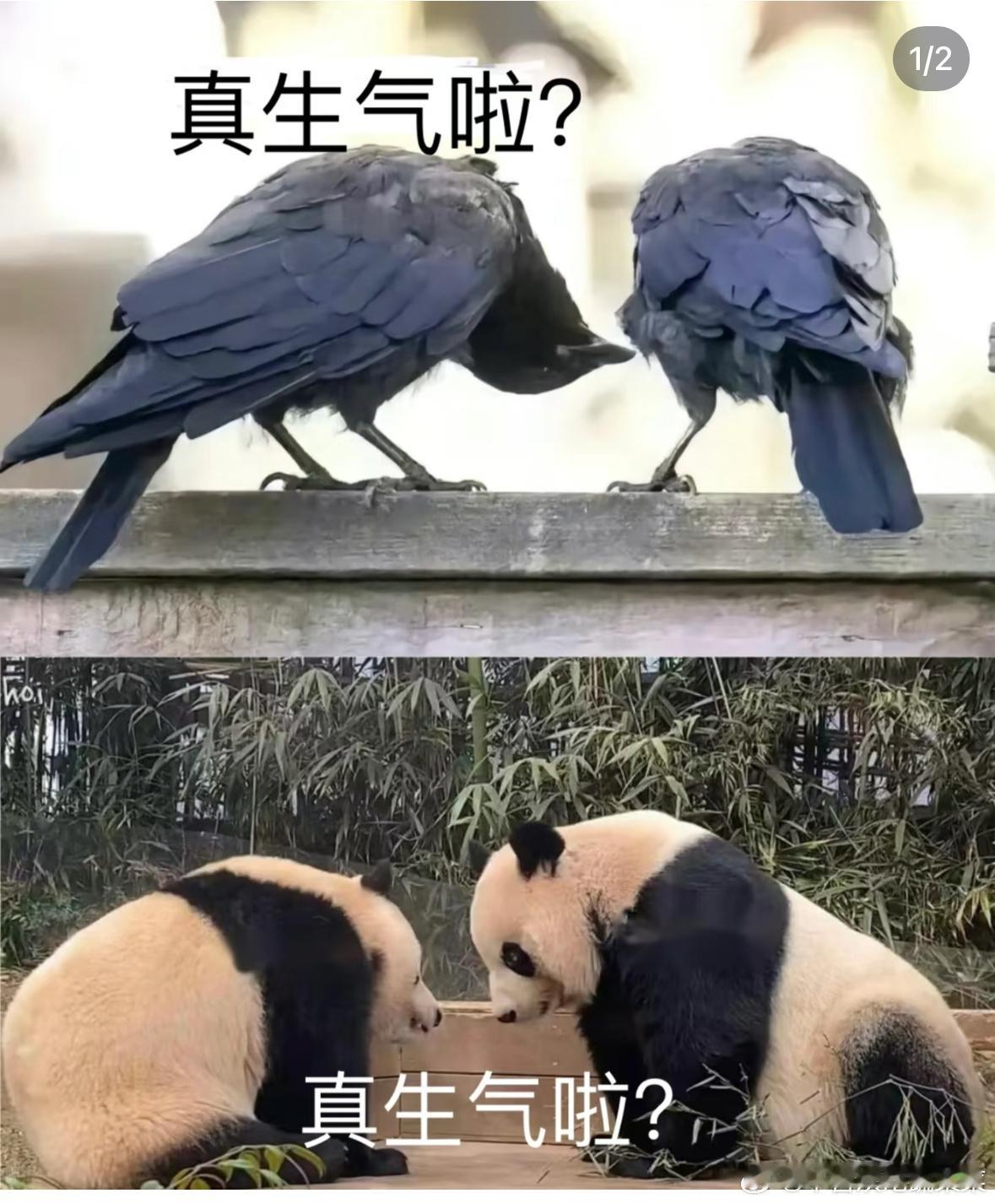 李飞 抠门 ​​​
