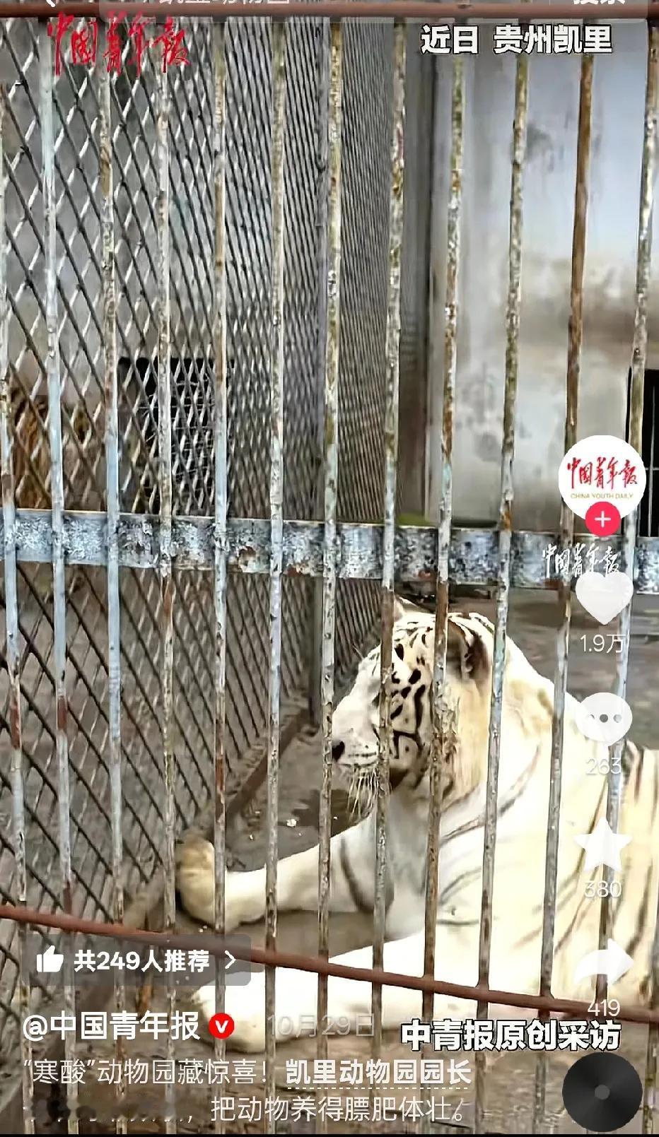 这么多人，这么多天的关注，真的是看着深山里不为人知的凯里动物园慢慢变好起来！小动