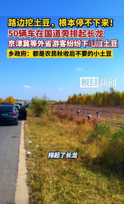 50辆车停在路边，齐刷刷下车捡土豆。这是个撒子概念呀，难道出了新品种，还是说有什