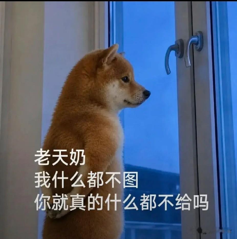 满城皆知，中考成绩成了孩子的代号，“117”

7月19日，昨晚没事，刷了一会手