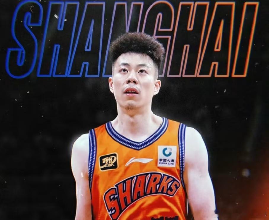 上海拥有豪华阵容，却没有给几位主力配上相应的战术。古德温球权太多，洛夫顿和王哲林