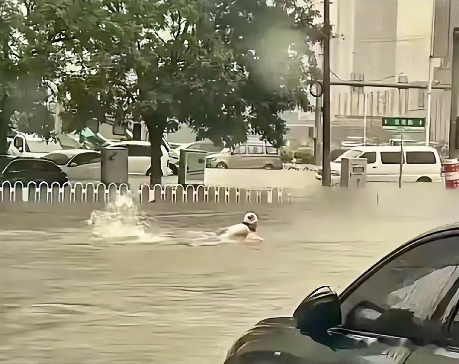 这下好了，不仅东北，连全国人民都知道了，谁能想到，面对暴雨，沈阳银不是囤粮囤水囤