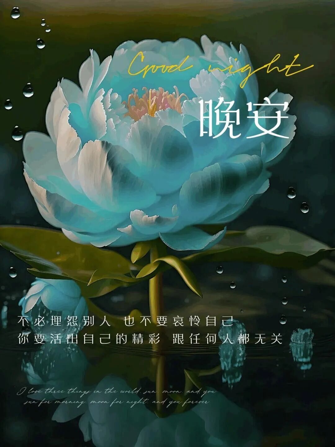 日子是慢慢变好的别着急，我们都在往前走晚安💤 