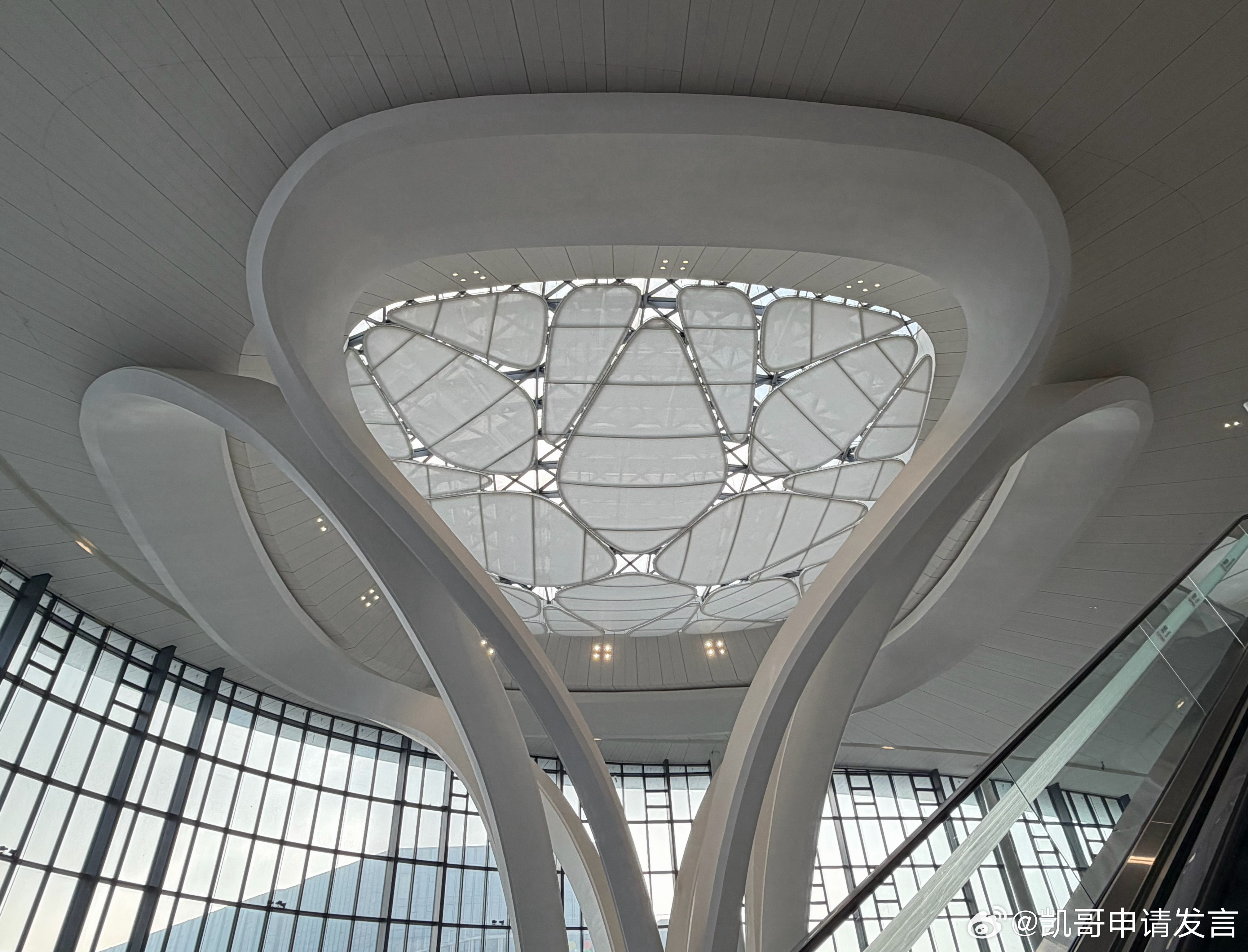 早每次从头等舱商务舱走过，心里就窃喜，又赚了几百块！商务舱 记录生活