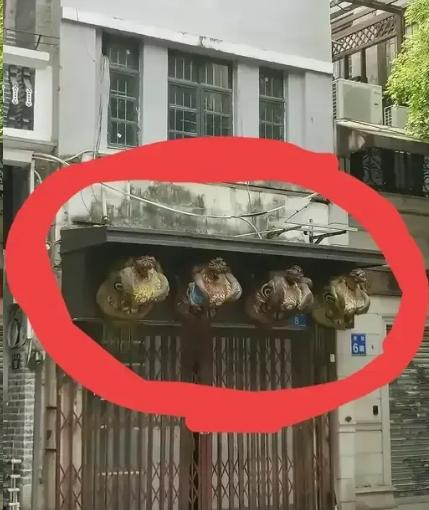 去广东出差，路过一户居民家门口，万万没想到，竟发现了令人意想不到的一幕！

在一