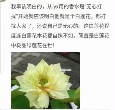 我姐的rz黑子吐槽他时说他白莲花，说从他用的香水名字叫“无心打扰”就可见一斑的这