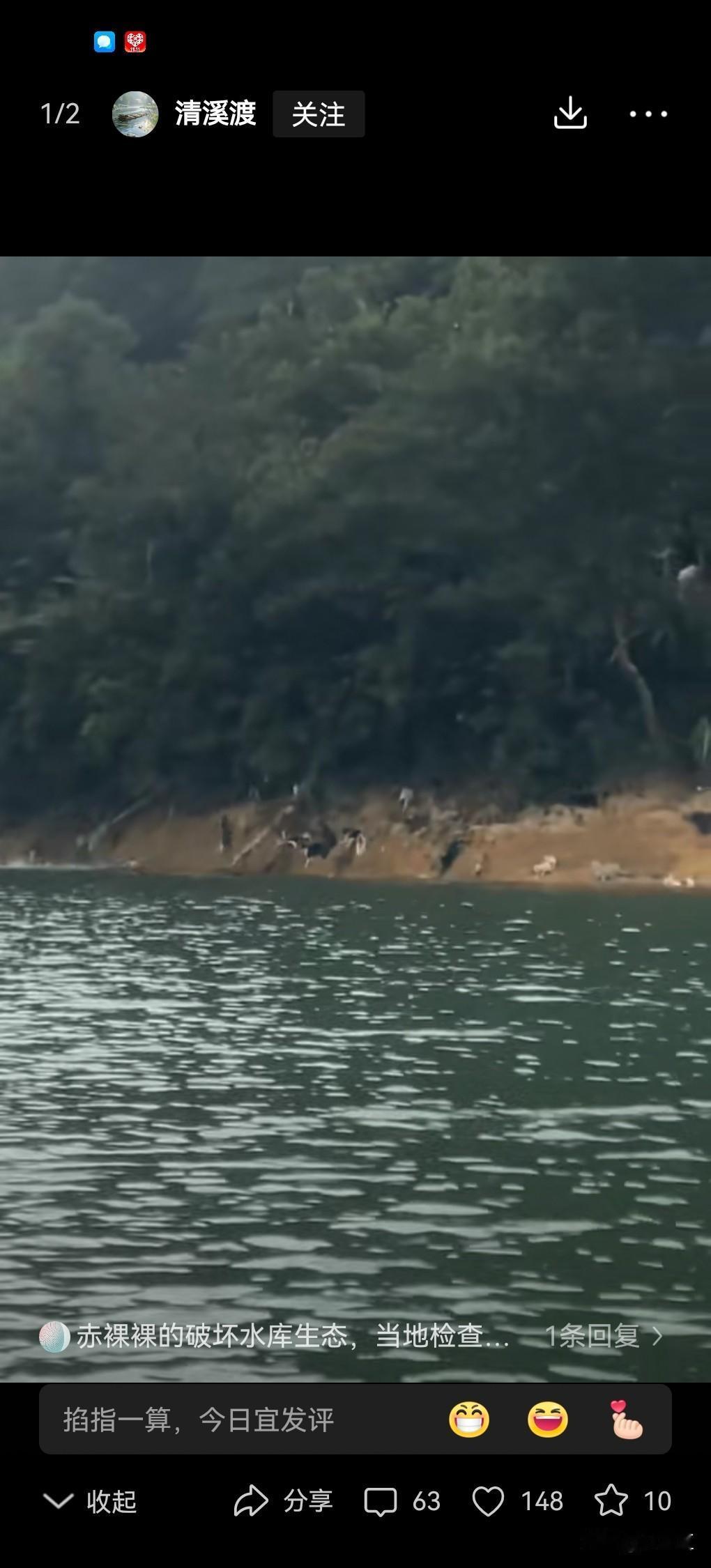 广东清远，一群中老年人，放着佛经，水库附近放生猫咪，使得大量猫咪落水！
放生，中