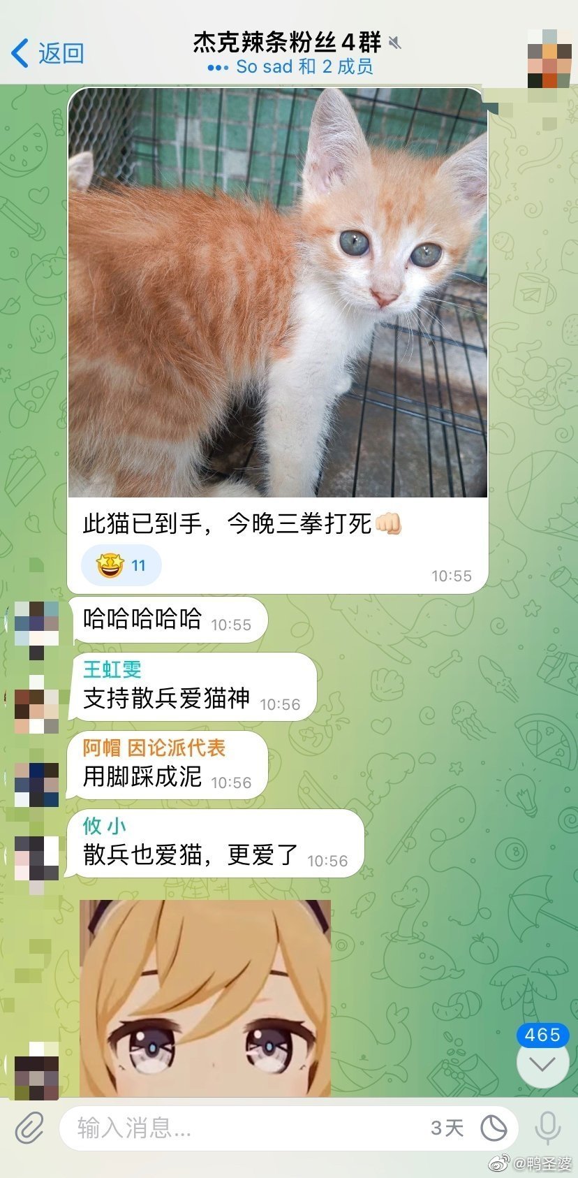 -这只小黄猫据说已经到他们手里了，而且今晚要三拳打死，请大家扩，找主人联系救猫！