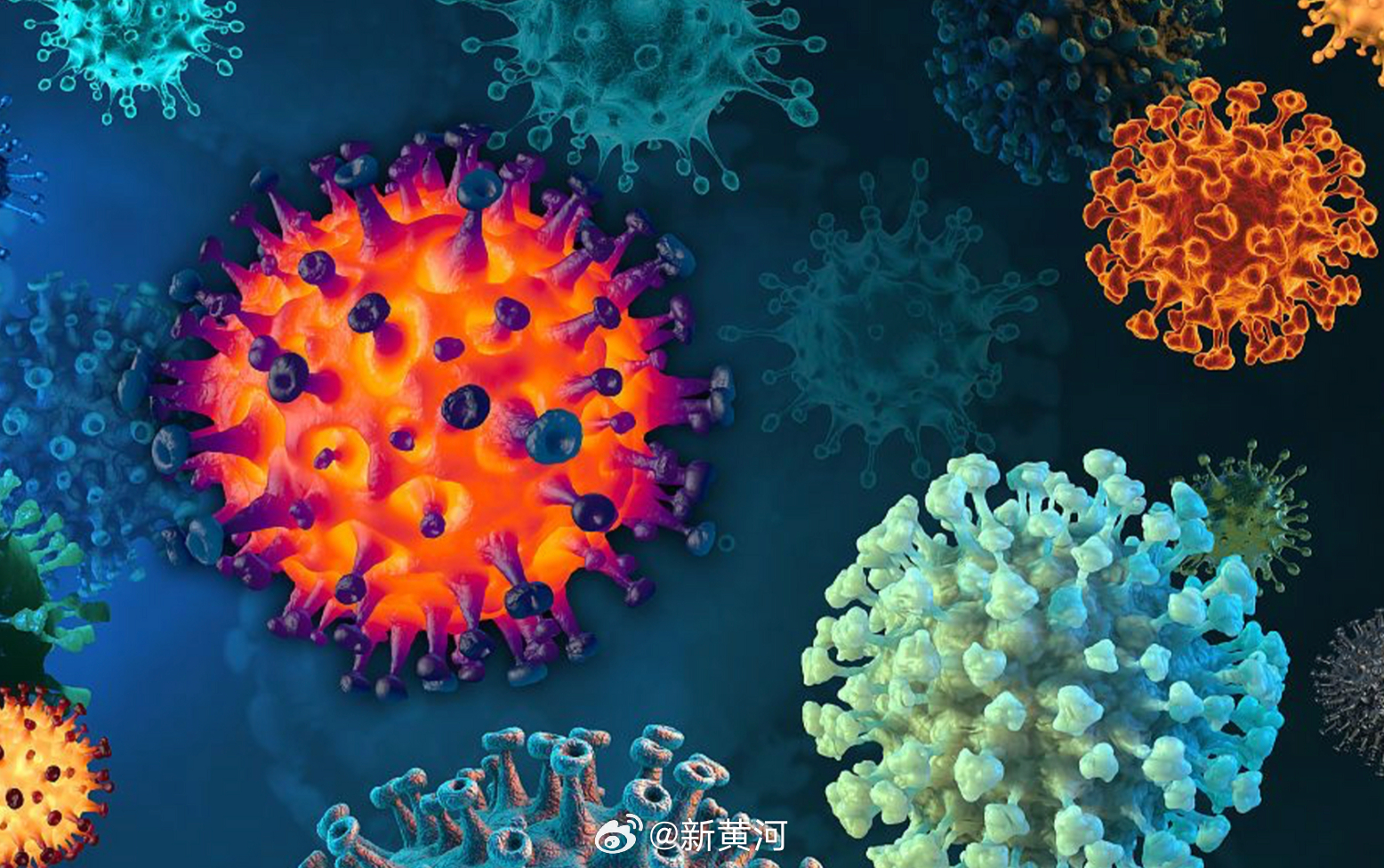 【#2名患者感染猴痘病毒重组毒株# 】世界卫生组织2月14日发布公报说，近几个月