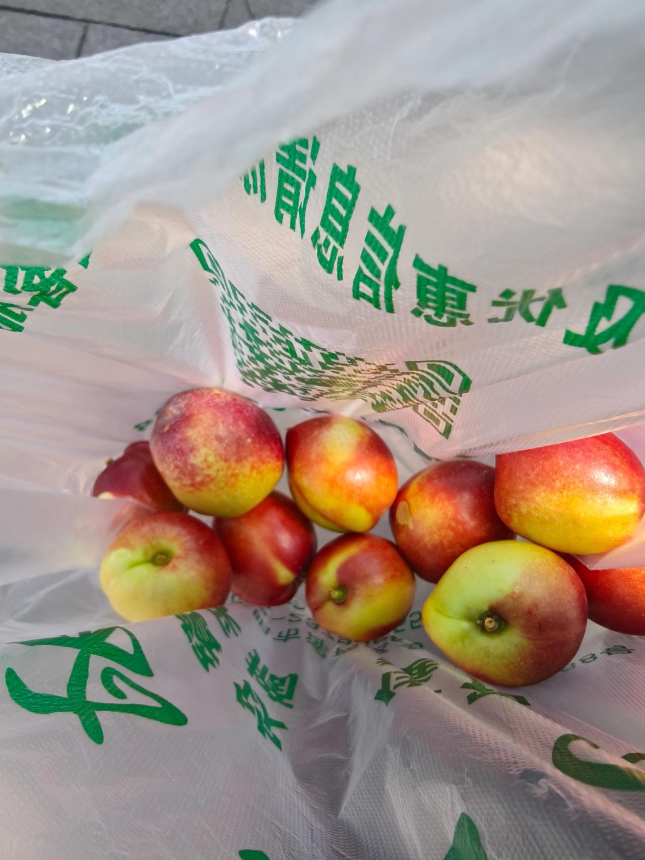 塑料袋里的水果 塑料袋装水果 袋子里的水果 包装好的苹果 袋装苹果