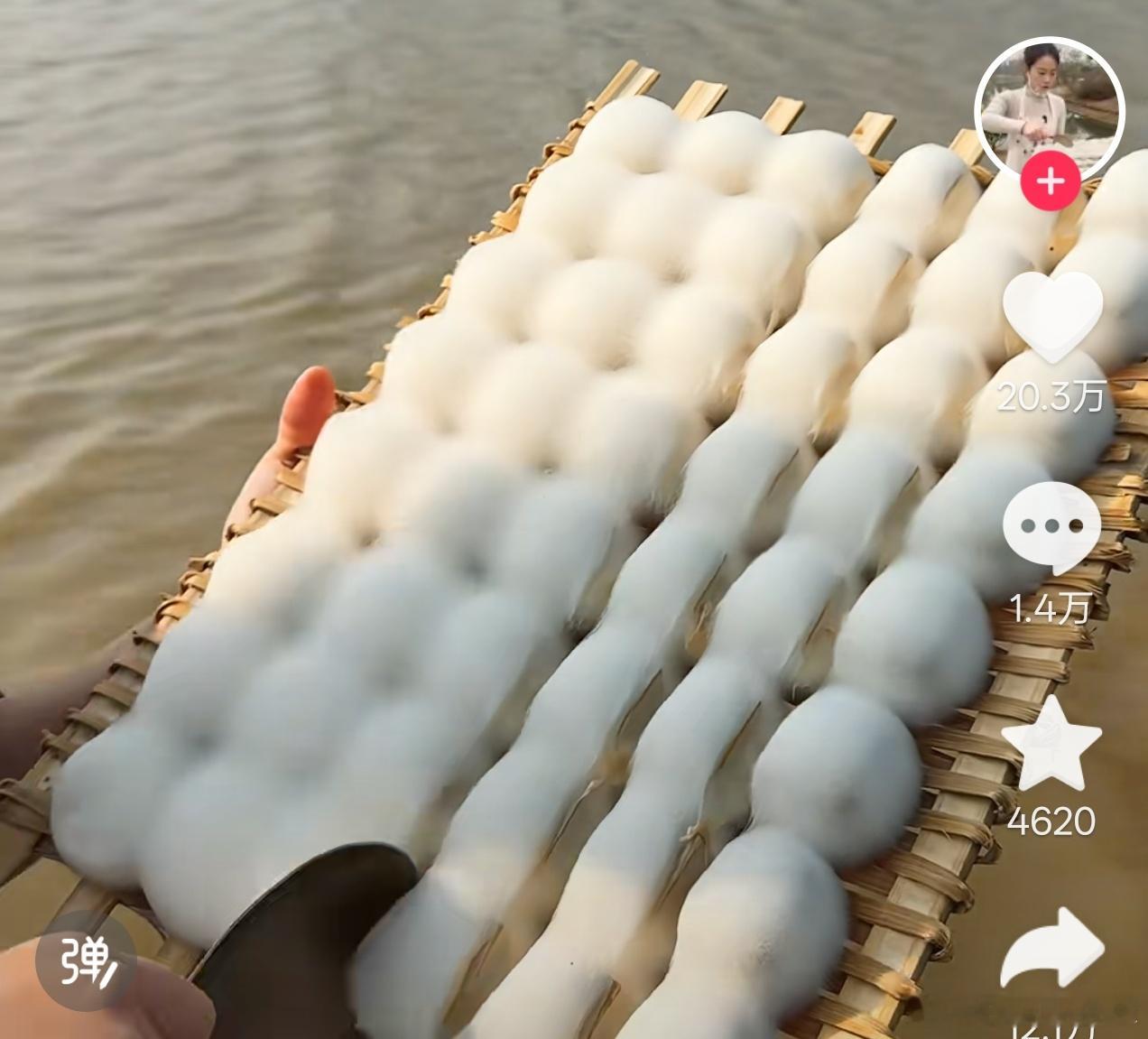 回忆一下长期刷短视频学到的知识我确信能够自信的拌出一份霉豆腐 