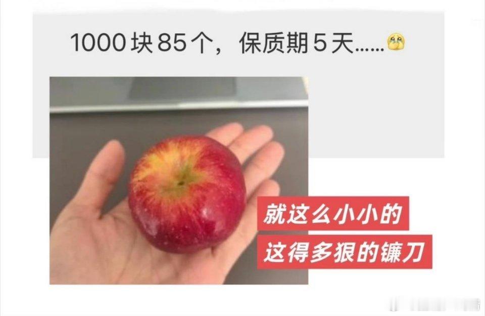 韭菜盒子 