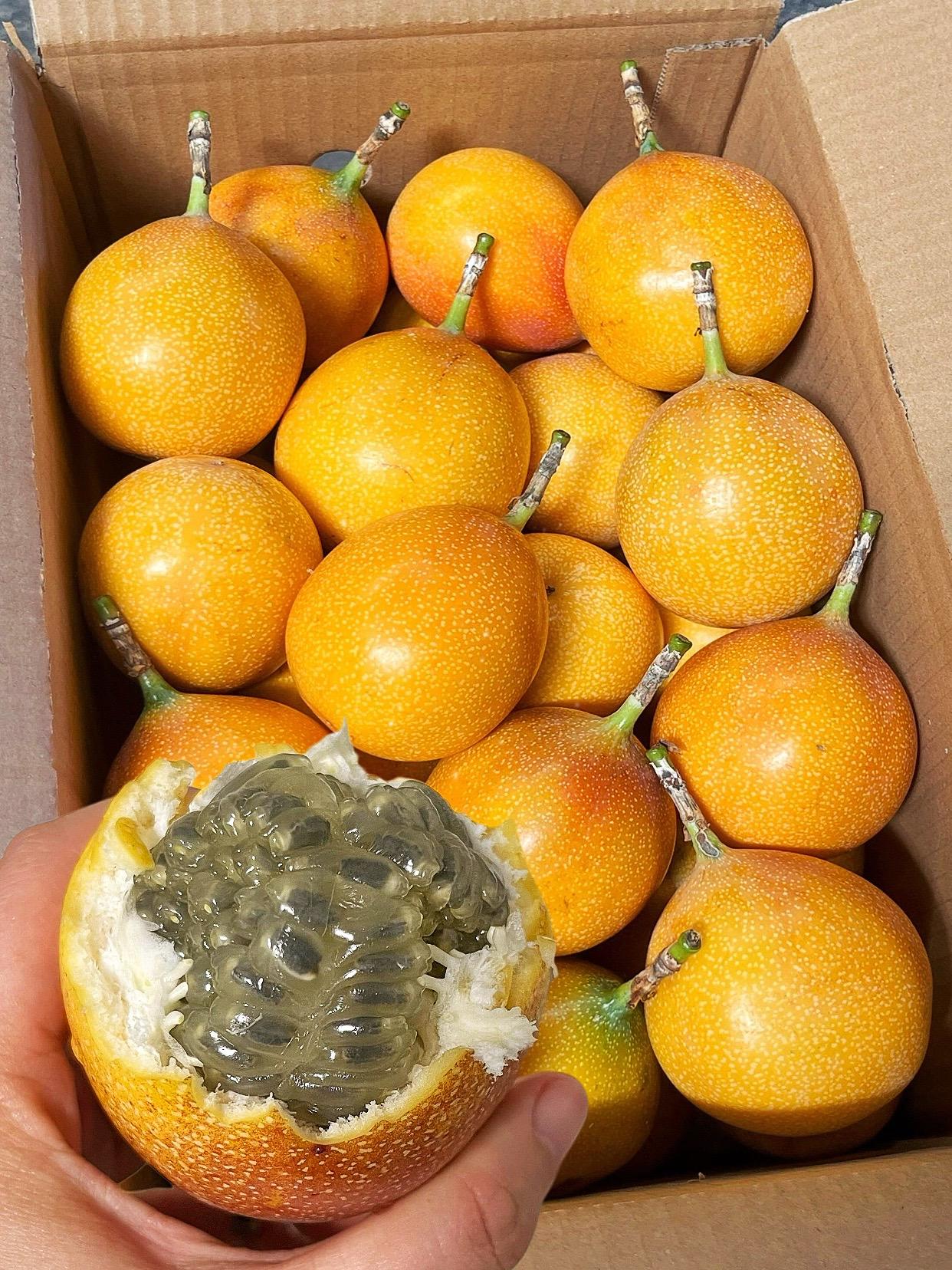 去年吃过一次就一直念念不忘！真的超甜超好吃😋他就是来自云南西双版纳的...
