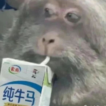 每天的状态就是这个。 