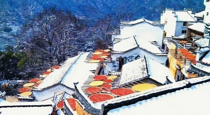 冬天的婺源，童话般，仿佛时间都静止了…  