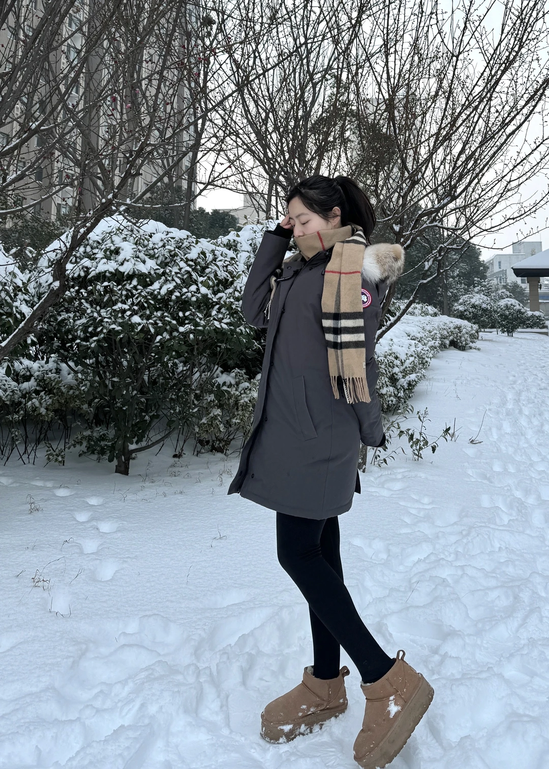 下雪了❄️⛄️