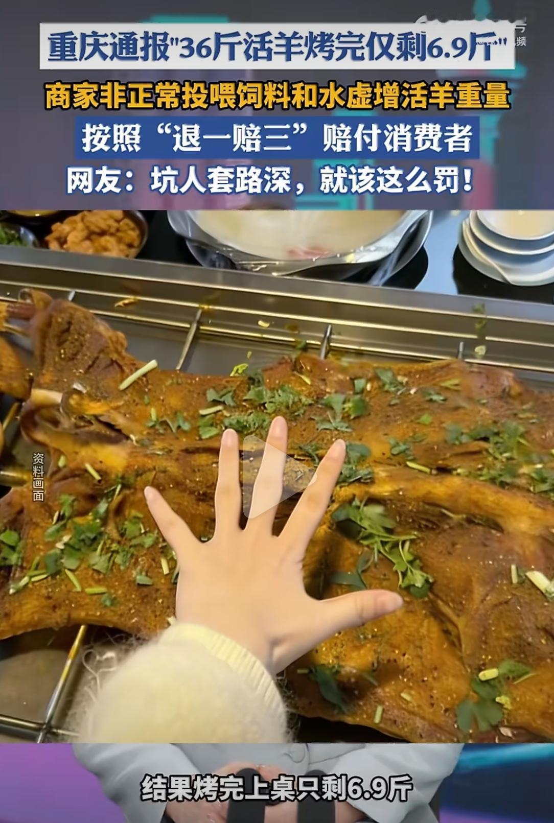 重庆一家烤全羊店最近火了，可惜是“火”到了热搜上——因为一只36斤的活羊，烤完只