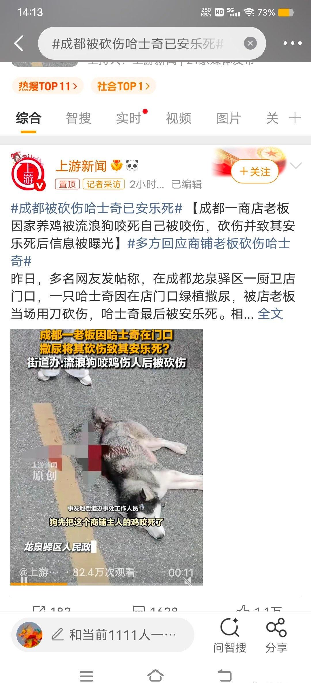 成都被砍伤哈士奇已安乐死