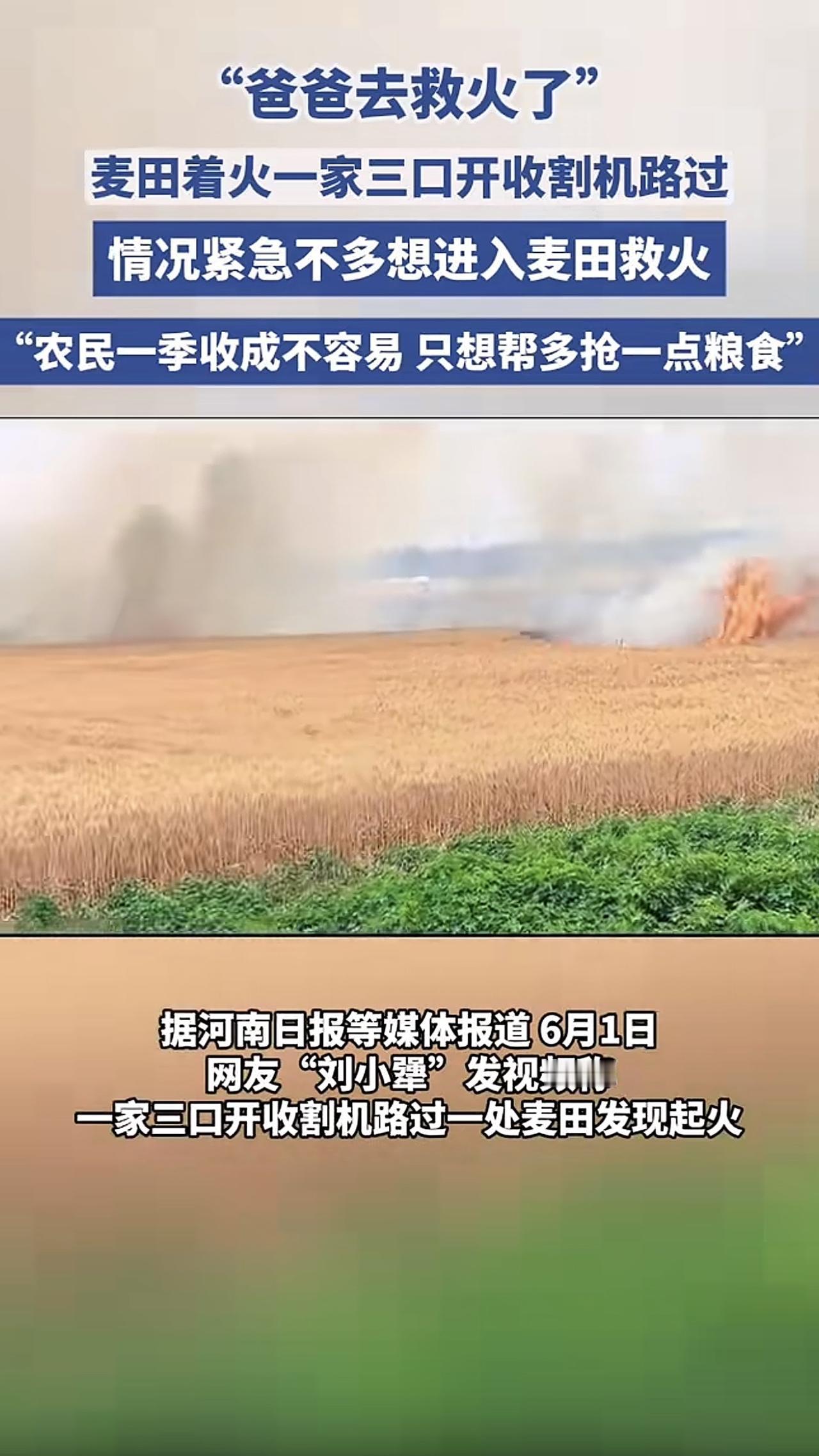 这救的不只是火，更是农户一年的辛苦，这一刻，他是所有人心中的英雄。
网友“刘小犟