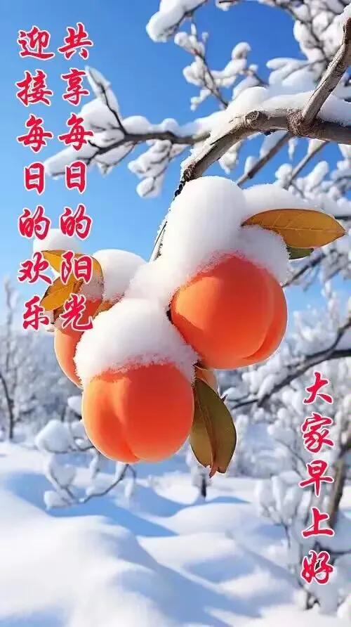 《飘飞的雪》


相思，吟诵着雪短歌
一阵风，吹过
漫天的雪，自由的下落
飘飞的