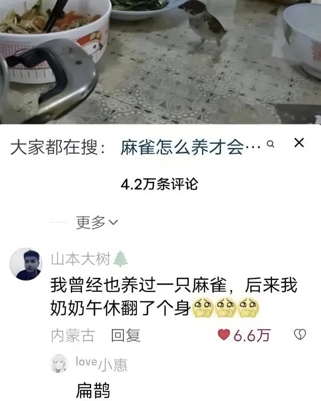 哈哈，麻雀变扁鹊。