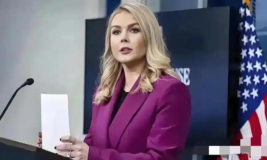 英媒爆料北约和丹麦与美展开“暗战”，这事儿核心是美国对格陵兰岛的野心。2025年