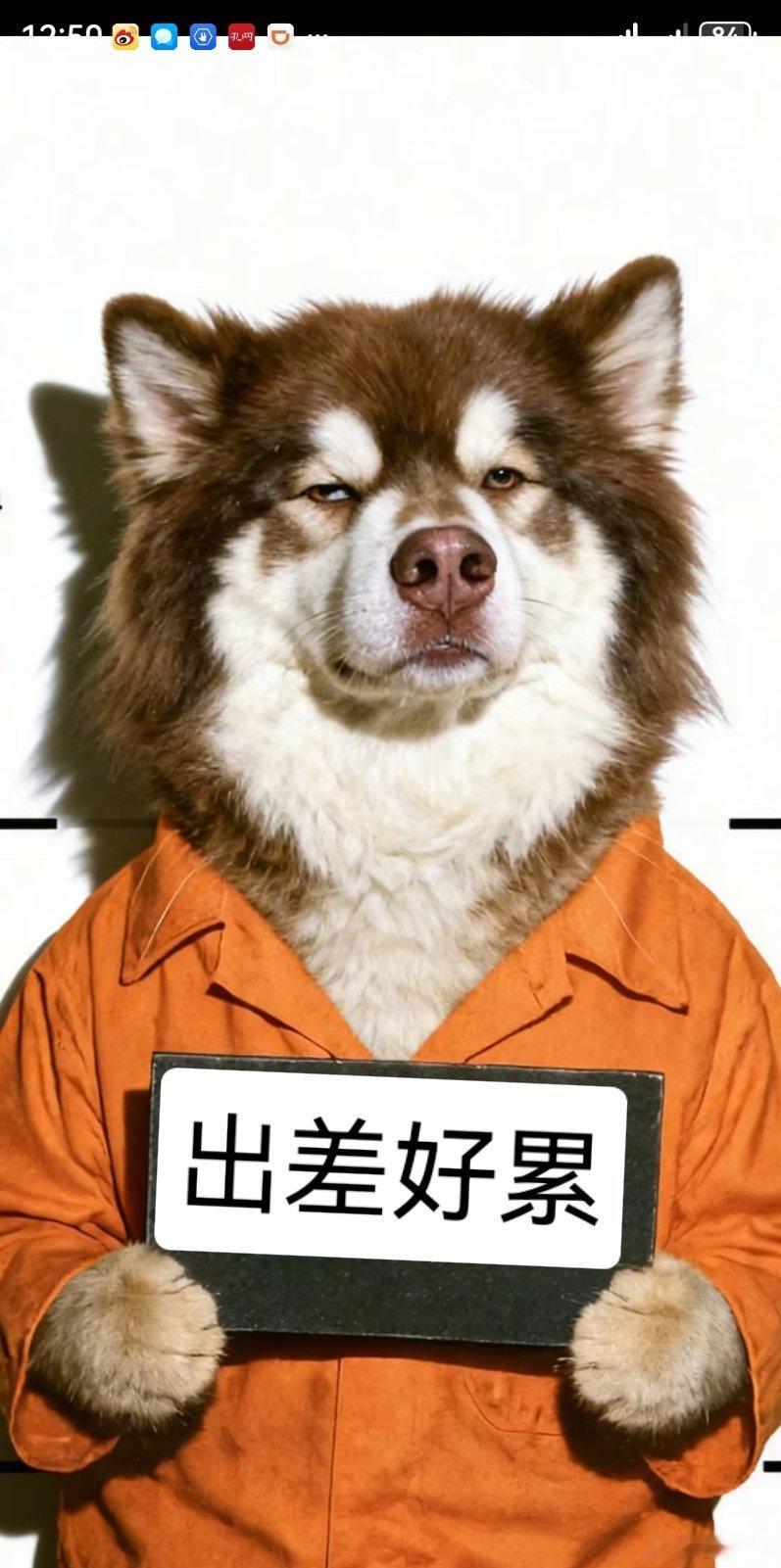 已经一个月，没有任何一天休息了  