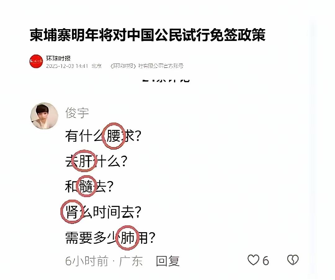 柬埔寨明年对中国公民试行免签政策。大家可以去旅游。