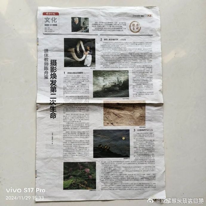 追鹭二十年他用镜头守住台州生态名片二十年初心不变，摄影爱好者持续追踪记录鹭鸟栖息