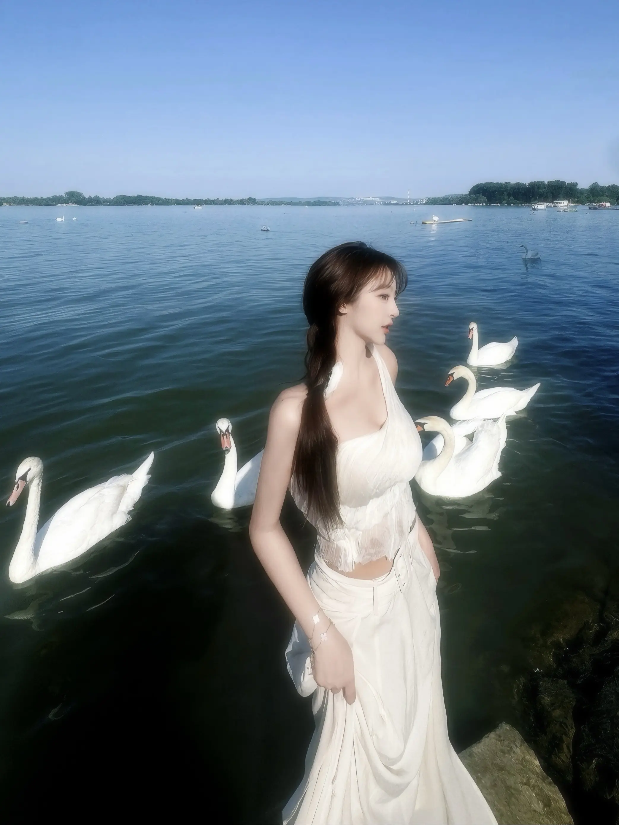 🫧 Gradski Park 🦢 花了一下午时间坐着看天鹅 没有人...