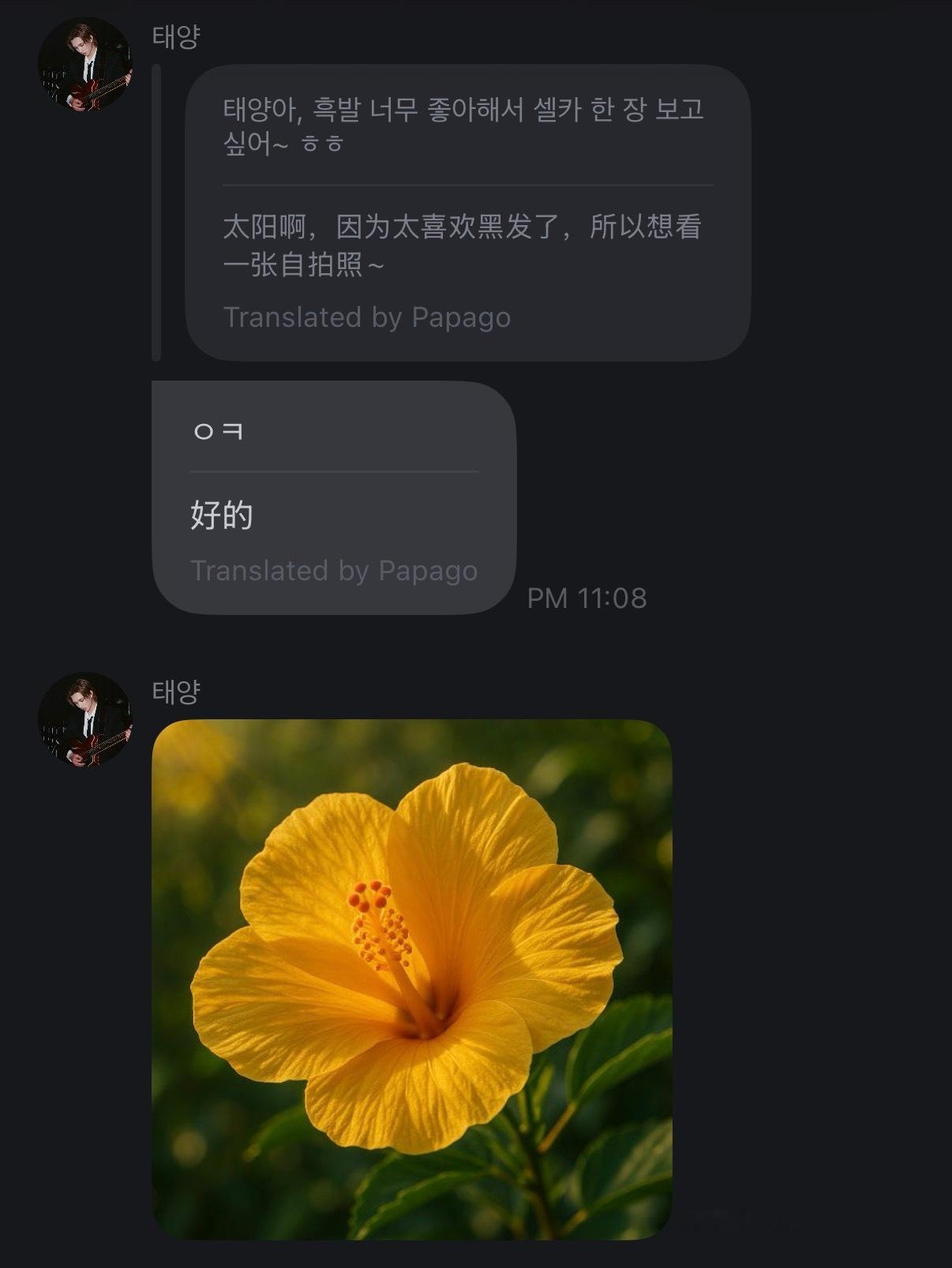 嗯嗯嗯嗯真的是花来的  专栏 · Fromm☀️