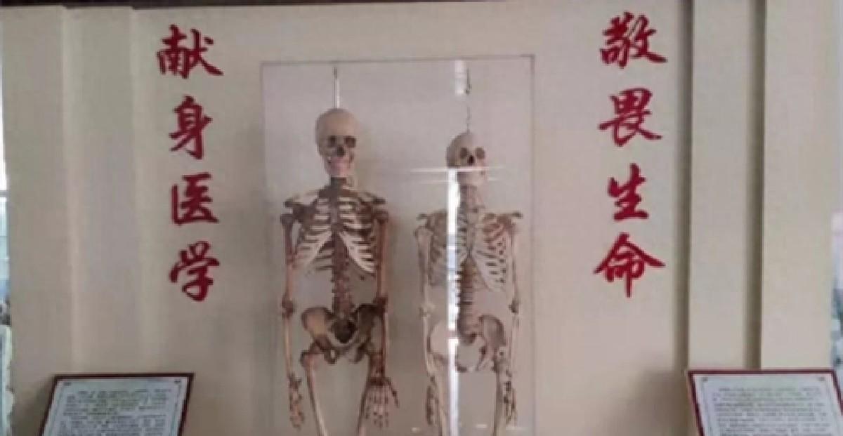 一对夫妻共同捐献遗体，十四年后，两具遗骨以并排站立的方式在特殊场合“重逢”
19