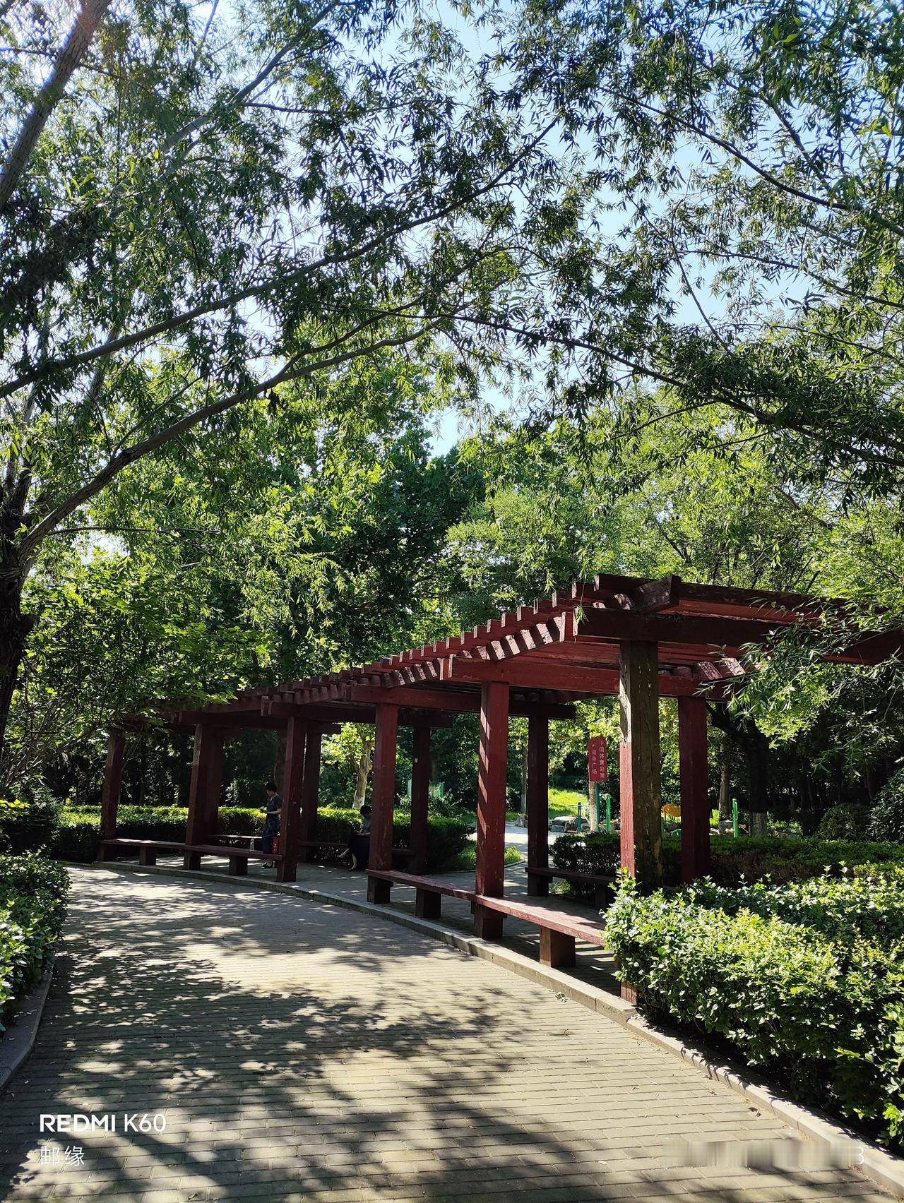 匡山凉亭，是我心中一处静谧的角落。它就坐落在匡山之上，周围绿树环绕，风景美不胜收