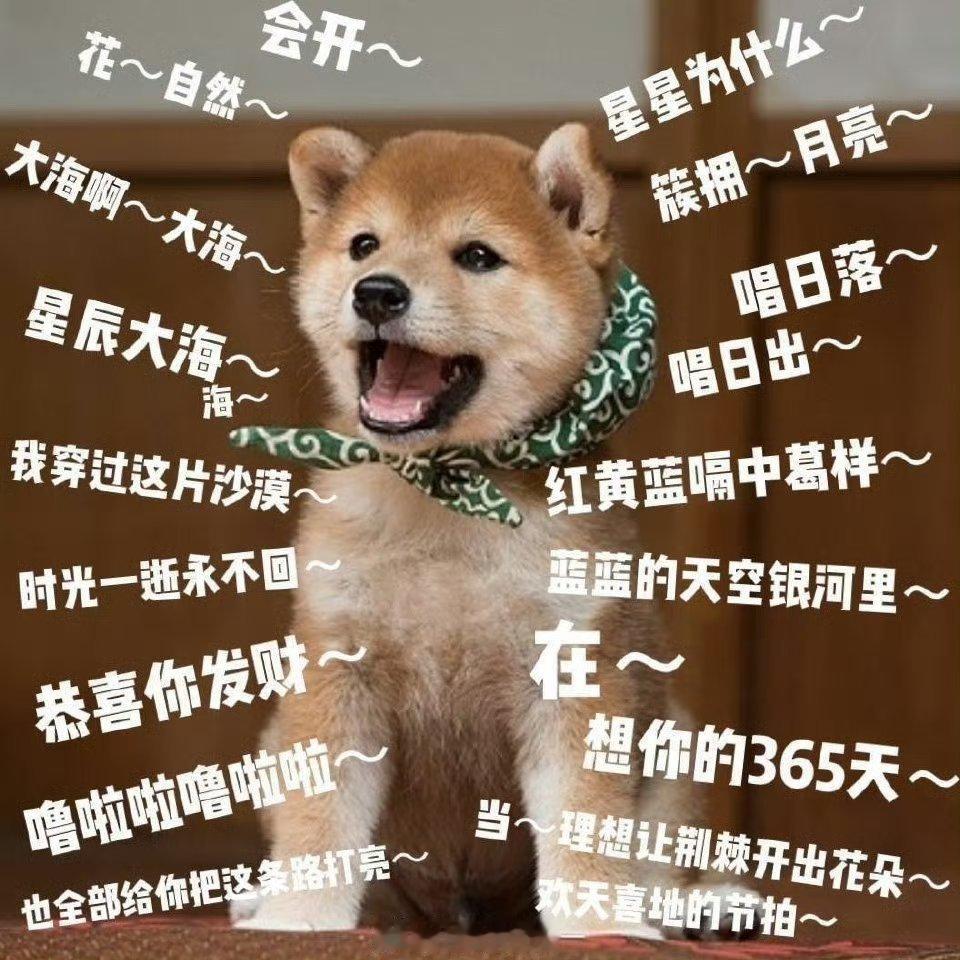 刘昊然打不过唱日出就加入 [doge]大爆金曲代表作 