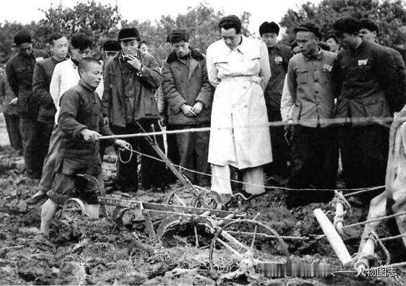 ▲1958年，农业部部长廖鲁言在浙江黄岩县焦坑乡参观农具手表演用双铧犁耕田边地角