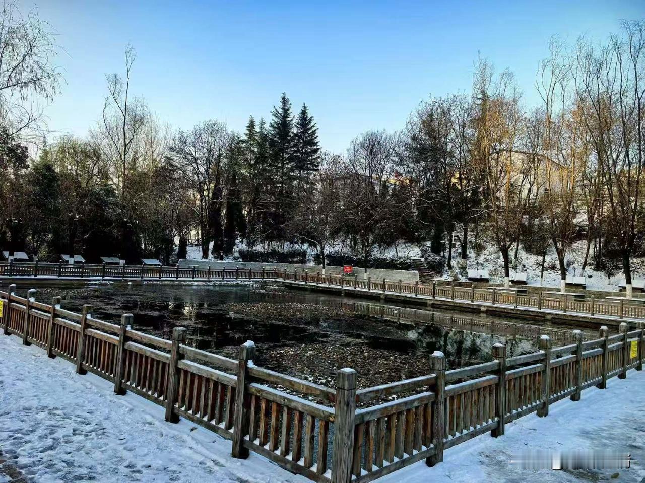 大雪下完之后，
水塘中的莲花早已枯萎，
都知道莲花的高洁，
奈何寒风萧瑟，
终究