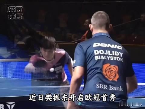 樊振东无系统训练400余天逆势夺冠，登德甲传奇榜