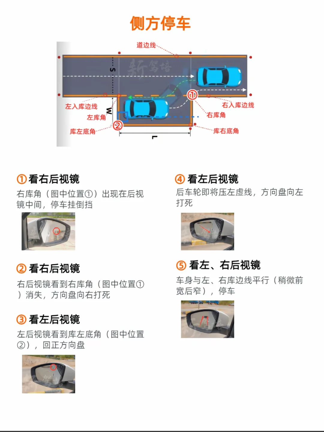 科目二如此简单‼️