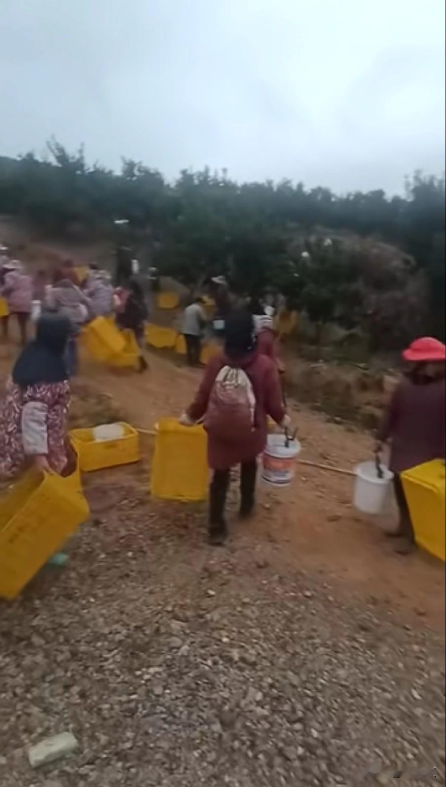 赤壁之战即将打响，曹兵80W，我军都是[偷笑][偷笑]，胜败尚未可知……​
东风