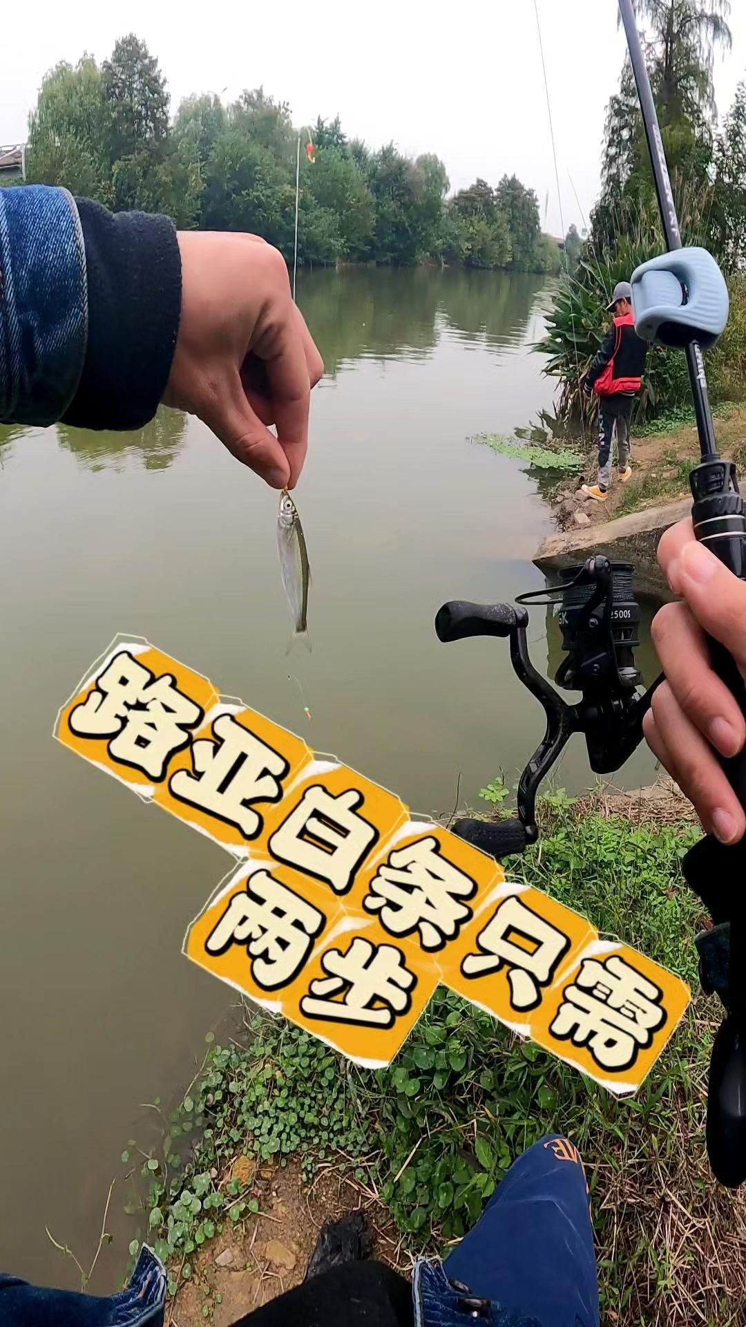 路亚白条超简单！1️⃣抛竿：把饵抛向预定水域，保持竿梢指向水面，让假饵自然落水。